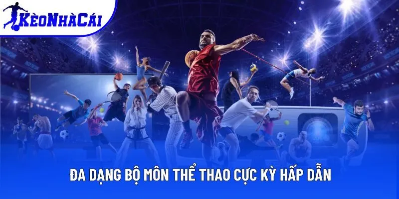 Đa dạng bộ môn thể thao cực kỳ hấp dẫn Đa dạng bộ môn thể thao cực kỳ hấp dẫn