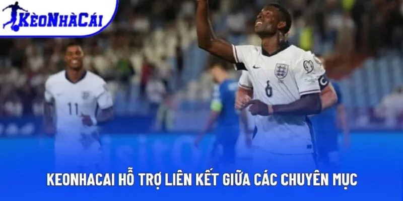 Keonhacai hỗ trợ liên kết giữa các chuyên mục Keonhacai hỗ trợ liên kết giữa các chuyên mục